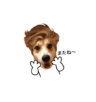 むっくんまりもの日常（個別スタンプ：7）