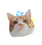 にぼし と イクラ（個別スタンプ：1）