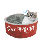 にぼし と イクラ（個別スタンプ：7）