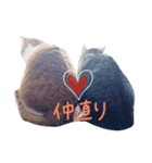 にぼし と イクラ（個別スタンプ：10）