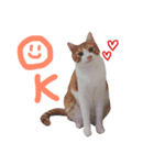 にぼし と イクラ（個別スタンプ：12）