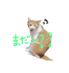 にぼし と イクラ（個別スタンプ：14）