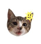 にぼし と イクラ（個別スタンプ：16）