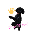 may0922（個別スタンプ：5）