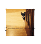 ちわわのほくとくんですこんちわわ（個別スタンプ：3）