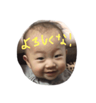 gaj'd'(juvdumdt（個別スタンプ：4）