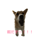 日常のワンシーン（個別スタンプ：1）