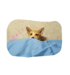 日常のワンシーン（個別スタンプ：5）