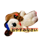 トイプードル❤️Jerry（個別スタンプ：4）