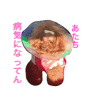 トイプードル❤️Jerry（個別スタンプ：29）