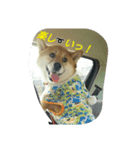 オイラ、ふくだぞっ！！（個別スタンプ：8）