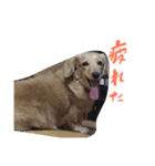 武島家のきらりさん（個別スタンプ：9）