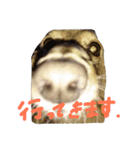 武島家のきらりさん（個別スタンプ：16）