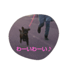毎日おちび（個別スタンプ：12）