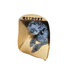 毎日おちび（個別スタンプ：20）