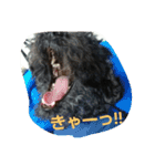 毎日おちび（個別スタンプ：28）