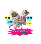 猫ネコ団のさまざま（個別スタンプ：1）