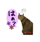 猫ネコ団のさまざま（個別スタンプ：12）