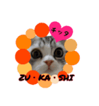 猫ネコ団のさまざま（個別スタンプ：15）