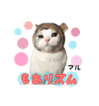 猫ネコ団のさまざま（個別スタンプ：16）