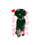 わんこスタンプときどきねこ（個別スタンプ：2）