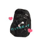 わんこスタンプときどきねこ（個別スタンプ：11）