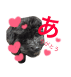 わんこスタンプときどきねこ（個別スタンプ：23）