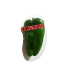 green  green pepper（個別スタンプ：3）