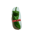 green  green pepper（個別スタンプ：4）