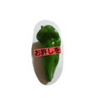 green  green pepper（個別スタンプ：5）