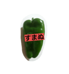 green  green pepper（個別スタンプ：8）