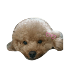rouelle（個別スタンプ：7）