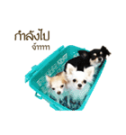 G.Family（個別スタンプ：1）