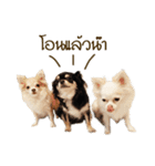 G.Family（個別スタンプ：3）
