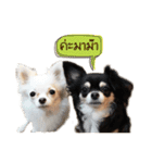 G.Family（個別スタンプ：11）