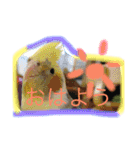 鳥祭り（個別スタンプ：9）