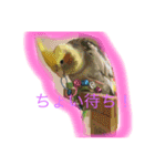 鳥祭り（個別スタンプ：10）