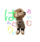 我が家のわんこネムちゃん（個別スタンプ：6）