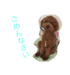 たくぼん（個別スタンプ：1）