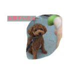 たくぼん（個別スタンプ：2）
