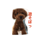 たくぼん（個別スタンプ：5）
