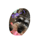 pet is think（個別スタンプ：3）