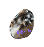 pet is think（個別スタンプ：9）