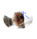 pet is think（個別スタンプ：10）