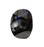 pet is think（個別スタンプ：11）