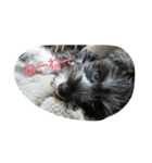pet is think（個別スタンプ：12）