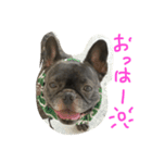 大輔の1日（個別スタンプ：4）