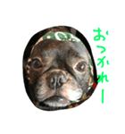 大輔の1日（個別スタンプ：8）