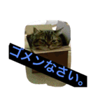 早川恵英です。（個別スタンプ：3）