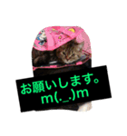 早川恵英です。（個別スタンプ：8）